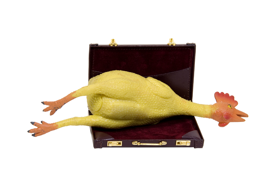 Rubber Chicken Briefcase